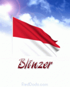 blinzer