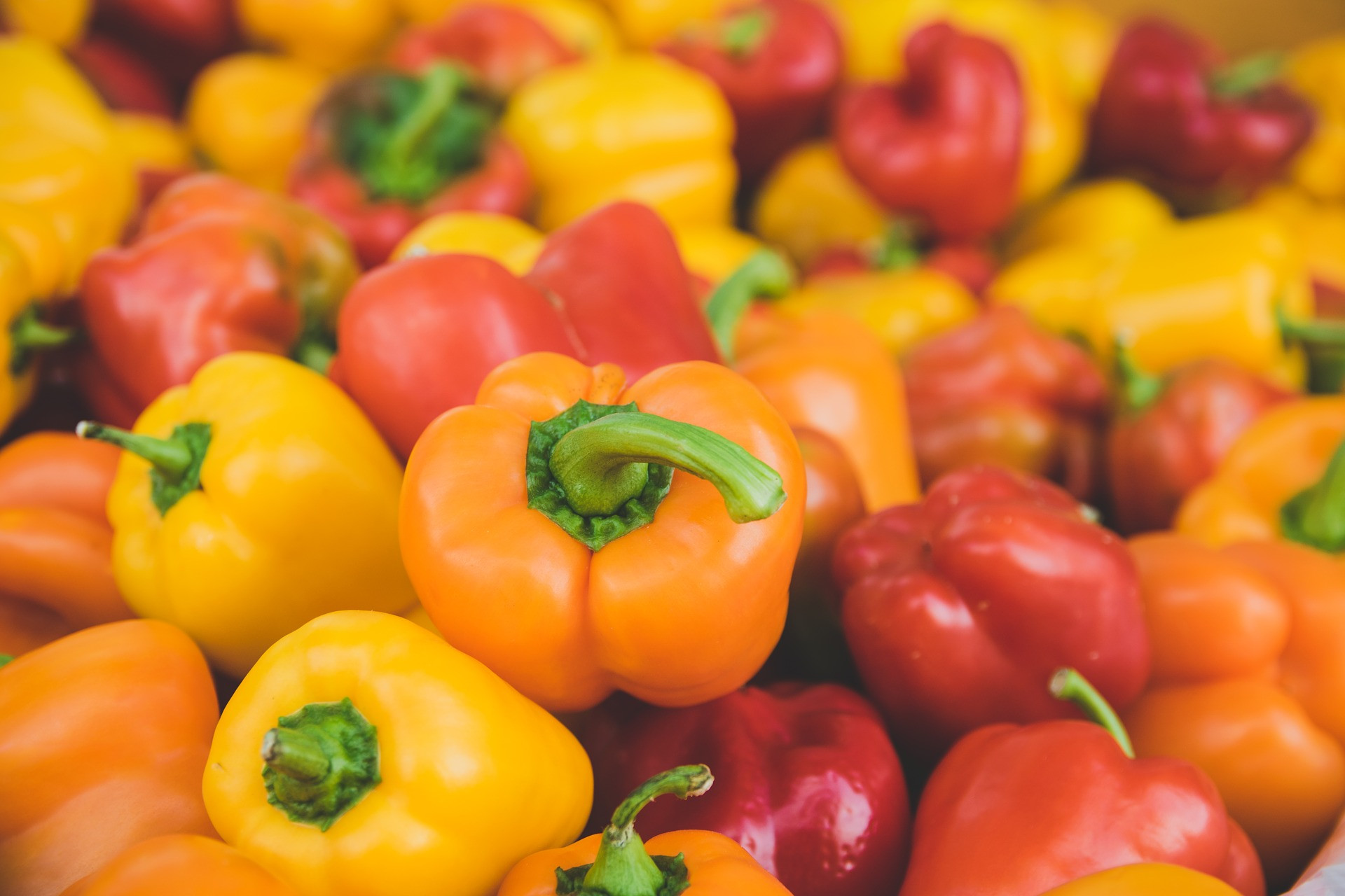 Menangkal Penyakit Jantung, Ini 5 Khasiat Sehat Paprika yg Perlu Anda Ketahui - Slot Informasi Online