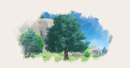 Genshin - Fir Wood Tree