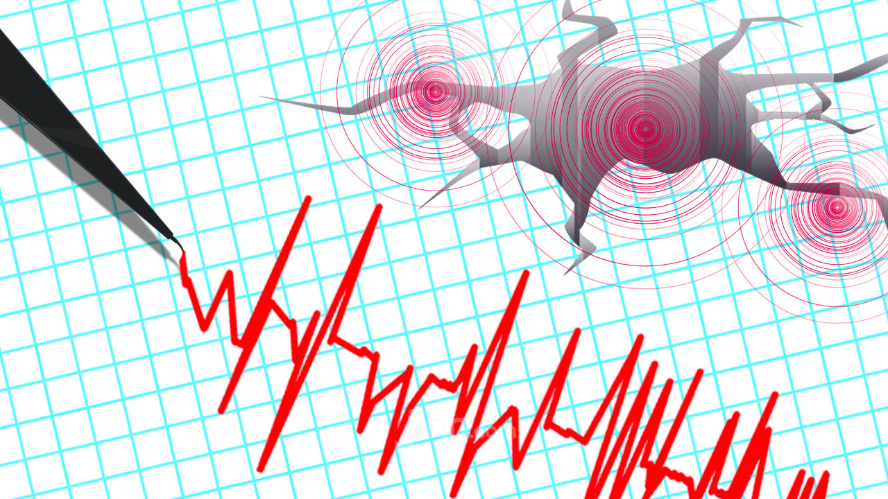 Ada Gempa Susulan Magnitudo 5,5 di Malang, Durasinya 2 Detik - Slot Informasi Online