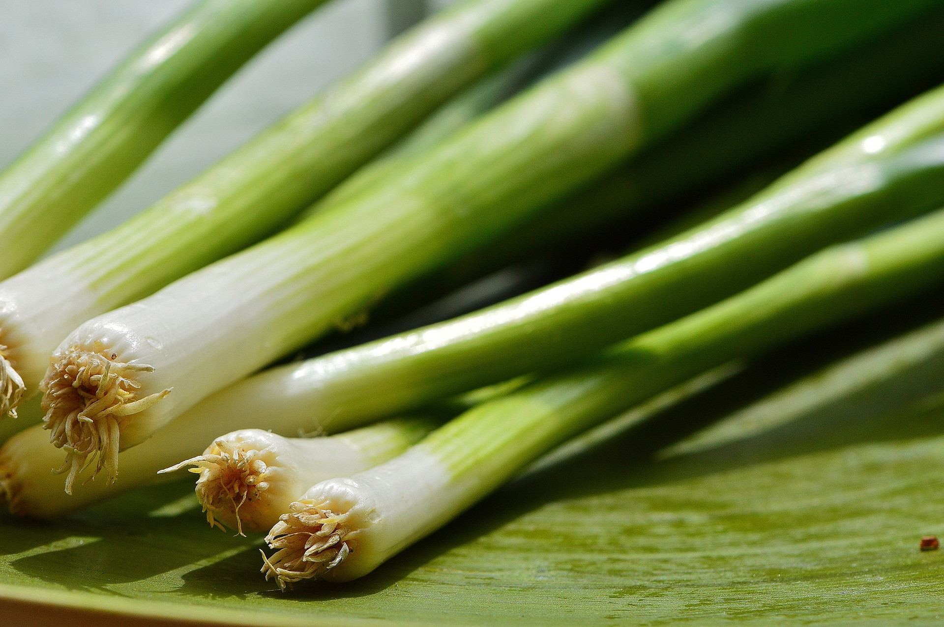 4 Manfaat Rutin Konsumsi Daun Bawang, Nomor 1 Sebagai Obat Cacing - Slot Informasi Online